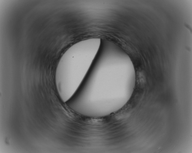 X0000097670664200803071556