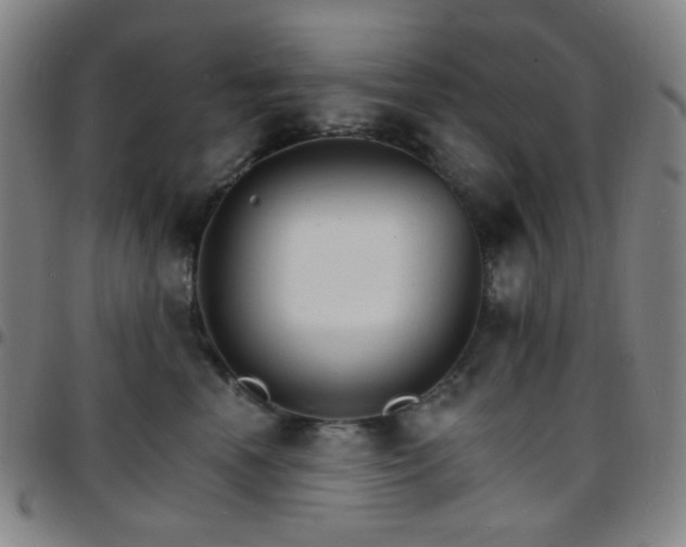 X0000097670666200803071556