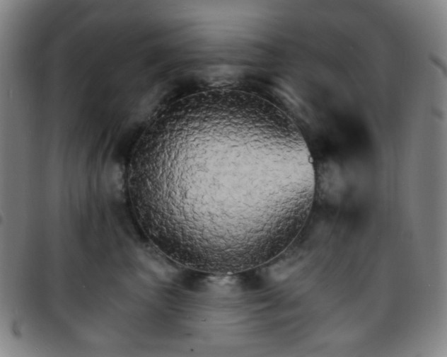 X0000097670667200803071556