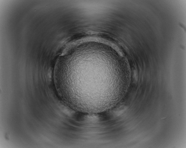 X0000097670668200803071556