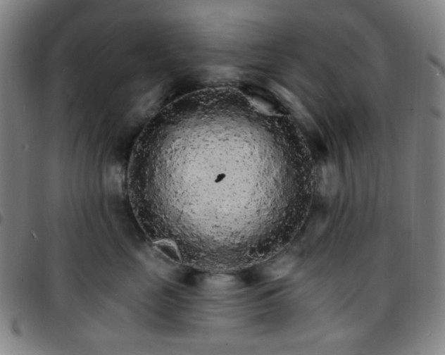 X0000097670669200803071556
