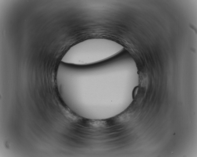 X0000097670670200803071556