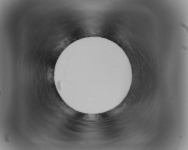 X0000097670672200803071556