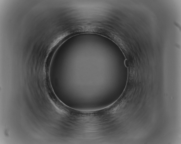 X0000097670674200803071555