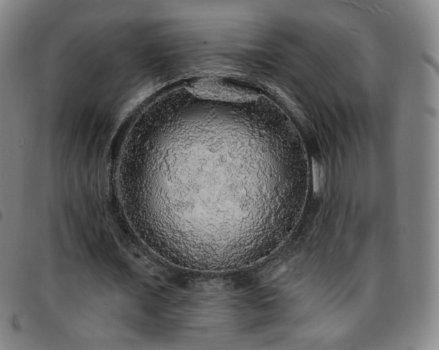 X0000097670675200803071555