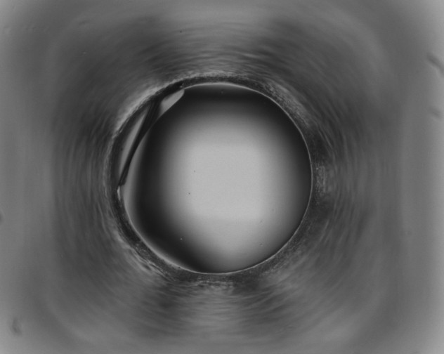 X0000097670676200803071555