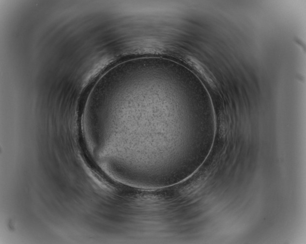 X0000097670677200803071555