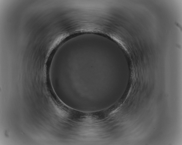 X0000097670678200803071555