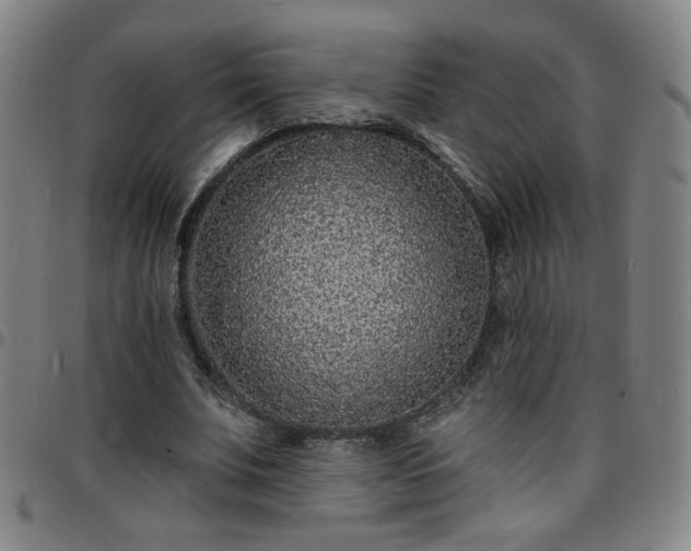 X0000097670679200803071555