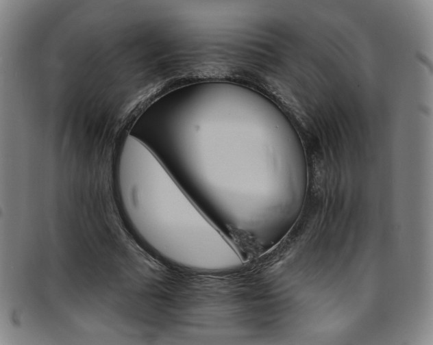 X0000097670681200803071555