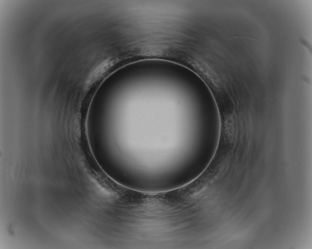 X0000097670682200803071555