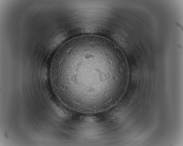 X0000097670683200803071555