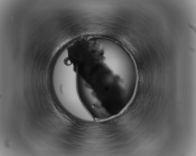 X0000097670684200803071555