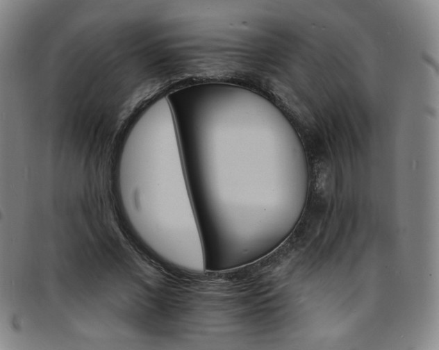 X0000097670685200803071555