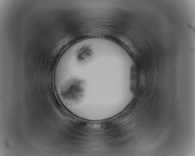 X0000097670687200803071555
