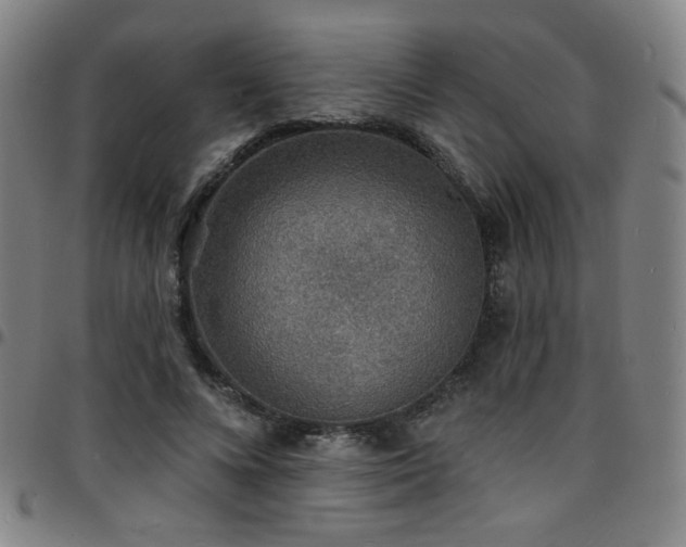 X0000097670688200803071555