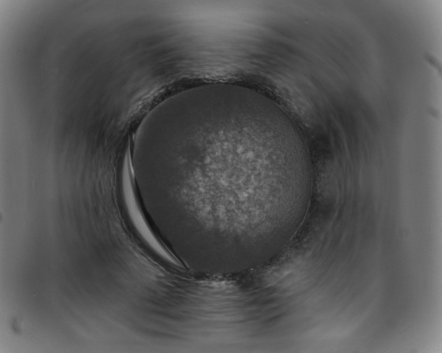 X0000097670689200803071555