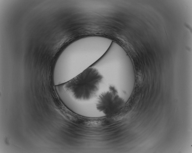 X0000097670691200803071555