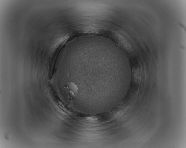 X0000097670692200803071555