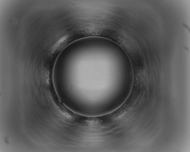 X0000097670693200803071555