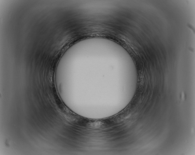 X0000097670695200803071555