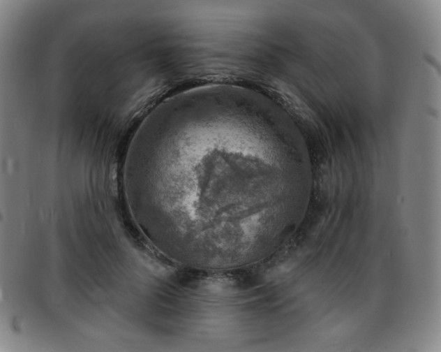 X0000097670696200803071555