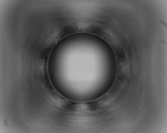 X0000097670698200803071555