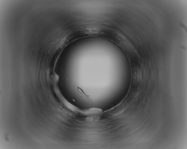 X0000097670700200803071555