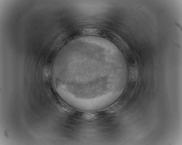 X0000097670701200803071555