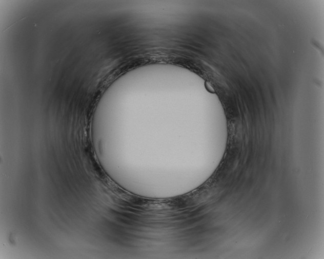 X0000097670702200803071555
