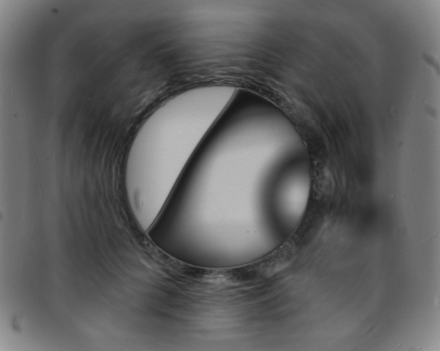 X0000097670704200803071555