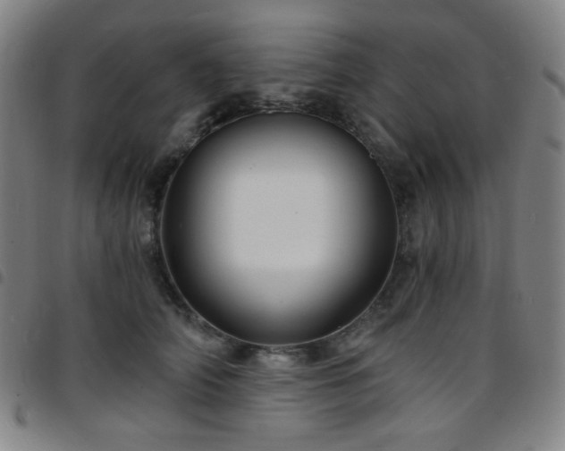 X0000097670706200803071555