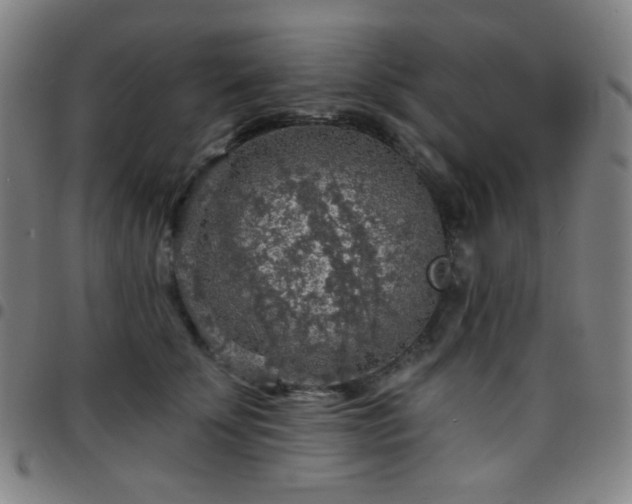 X0000097670707200803071555