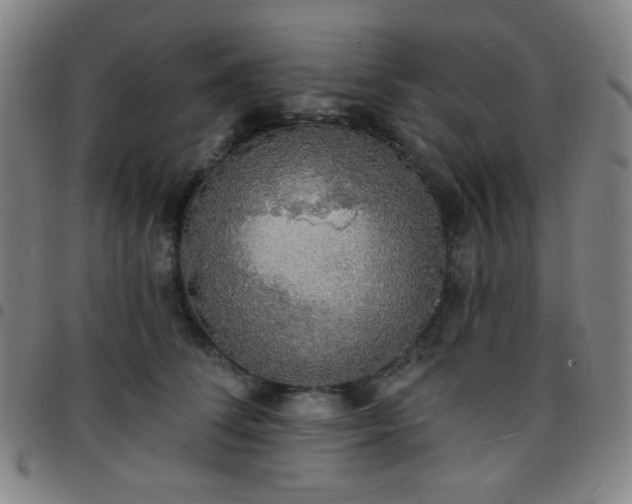 X0000097670708200803071555