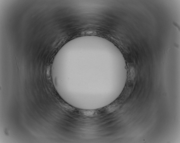 X0000097670709200803071555