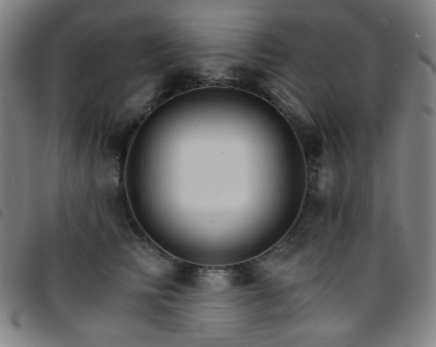 X0000097670710200803071555
