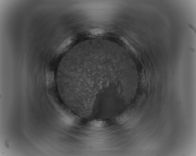 X0000097670711200803071555