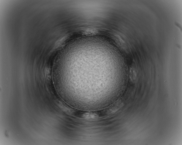 X0000097670714200803071555