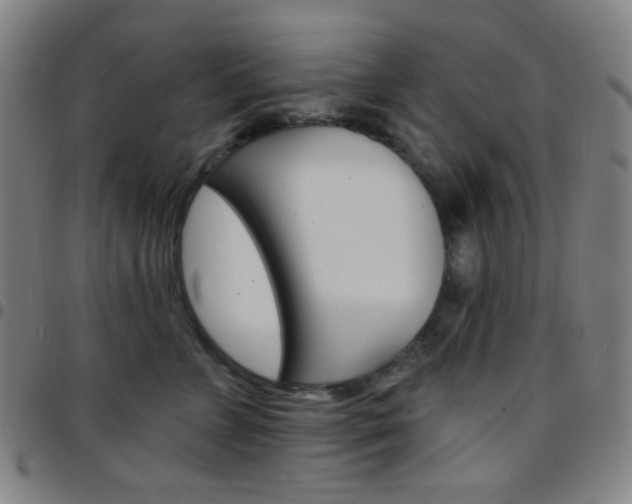X0000097670715200803071555