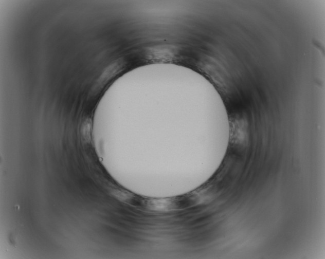 X0000097670717200803071555