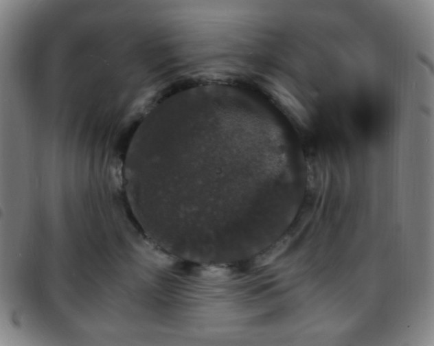 X0000097670718200803071555