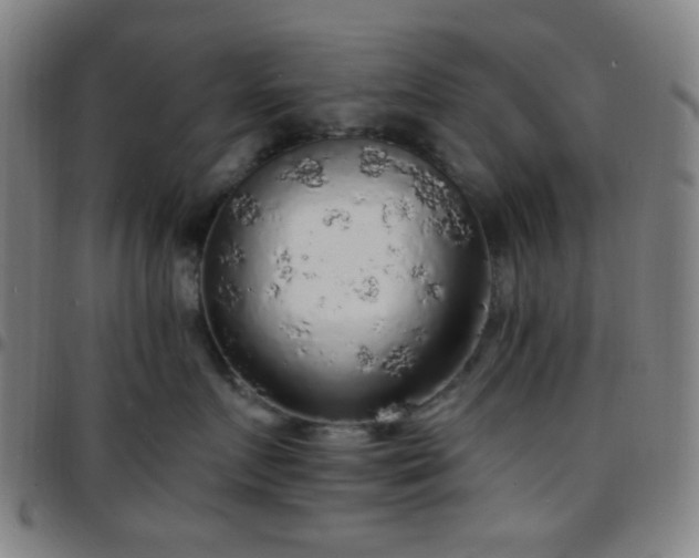X0000097670719200803071555