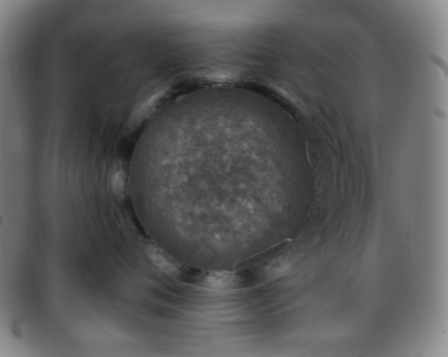 X0000097670720200803071555