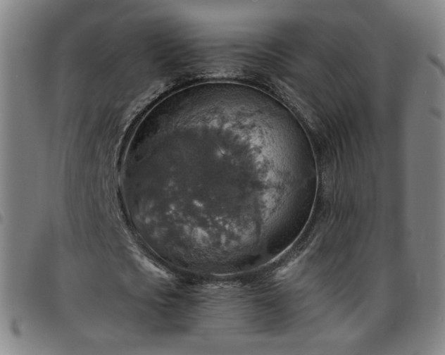 X0000097670721200803071554