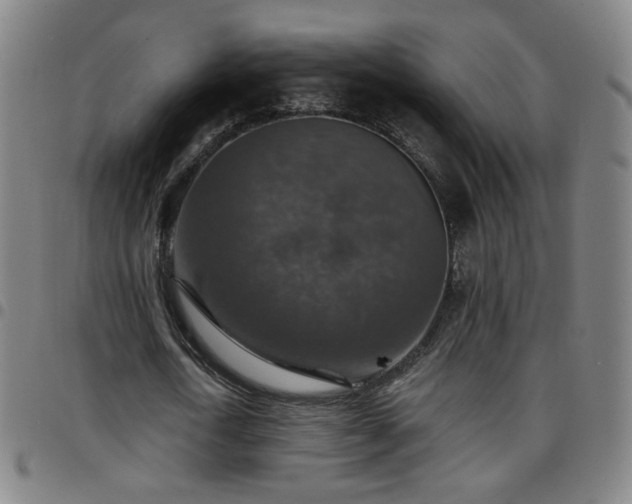 X0000097670722200803071554