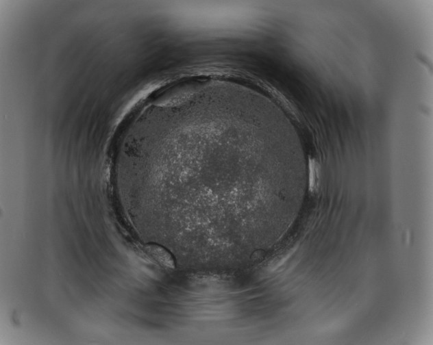 X0000097670723200803071554