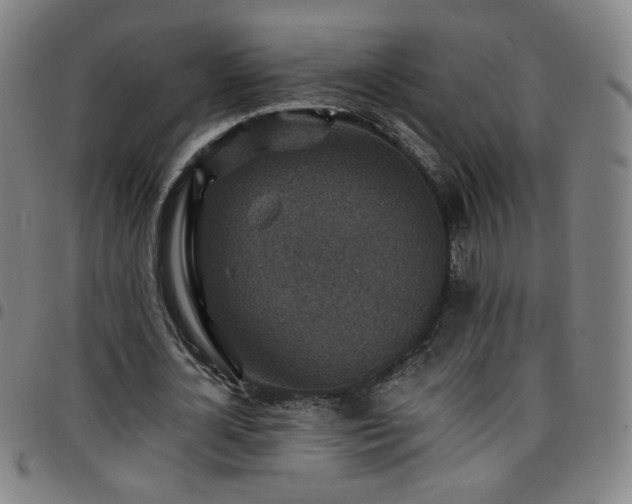 X0000097670724200803071554