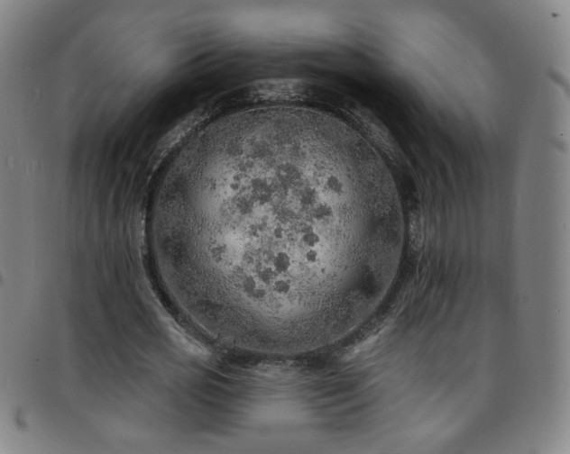 X0000097670725200803071554