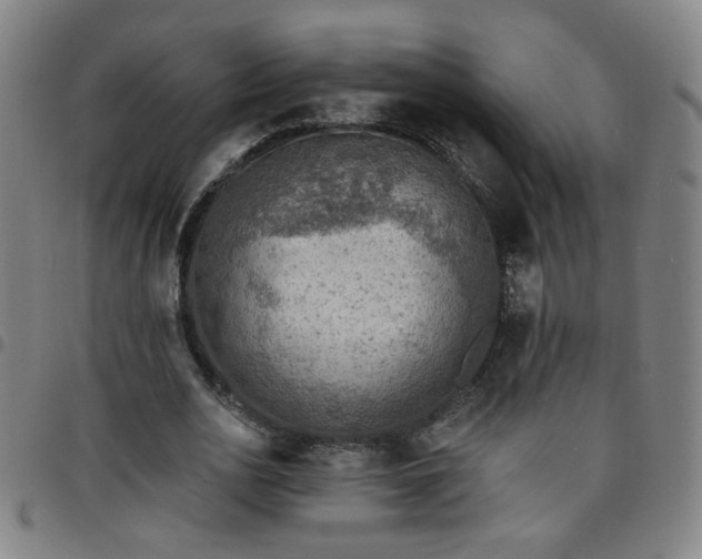 X0000097670726200803071554