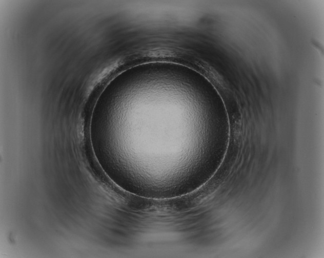 X0000097670727200803071554